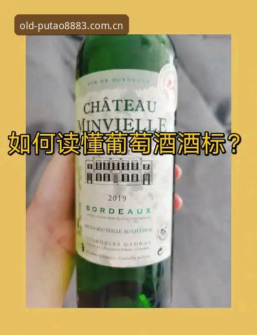 中国区还原经典风貌安卓安装哪个好？老版新葡萄平台怎么选才不踩坑？